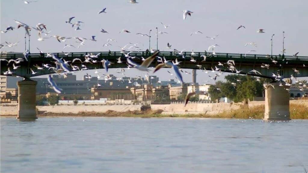 جسر السنك